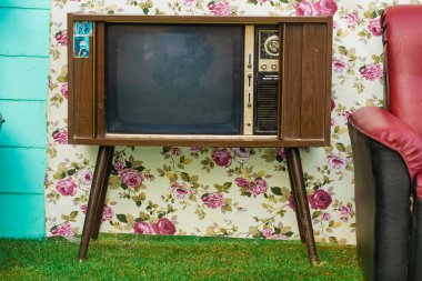 televizyon odası yeşil çimenlerin üzerinde