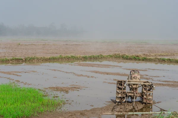 Plantación de arroz con camión Tillers —  Fotos de Stock