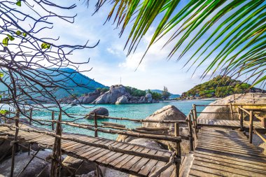 yanında deniz ile Hindistan cevizi ağacı platformu