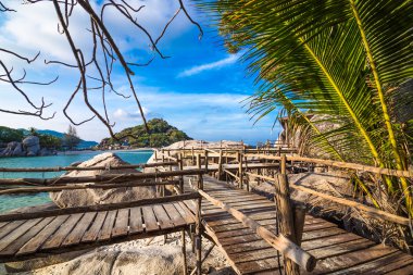 yanında deniz ile Hindistan cevizi ağacı platformu