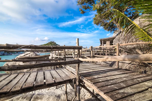 Площадка рядом с морем с кокосовым деревом — стоковое фото