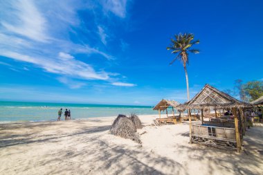 Hindistan cevizi avuç içi ve deniz 