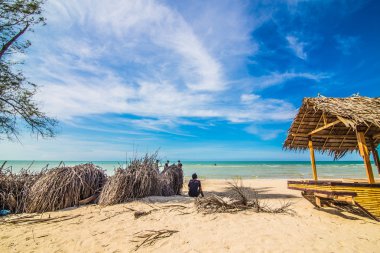 Hindistan cevizi avuç içi ve deniz 