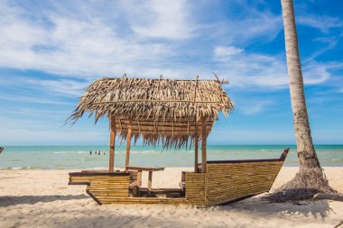 Hindistan cevizi hurma ve plaj 