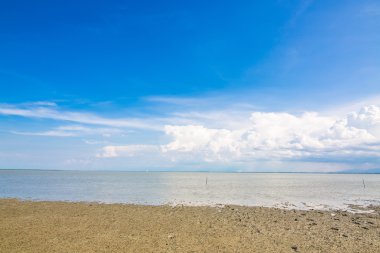 Güzel sahil ve tropikal deniz 