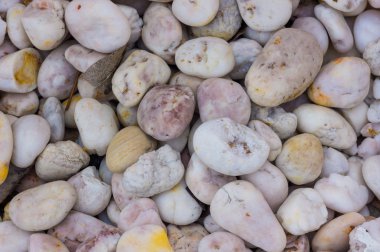 Kuru yuvarlak reeble taşları 