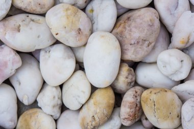 kayalık, taşlık doku 