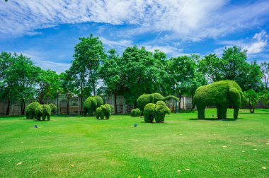 Animal shaped bush in botanical garden clipart