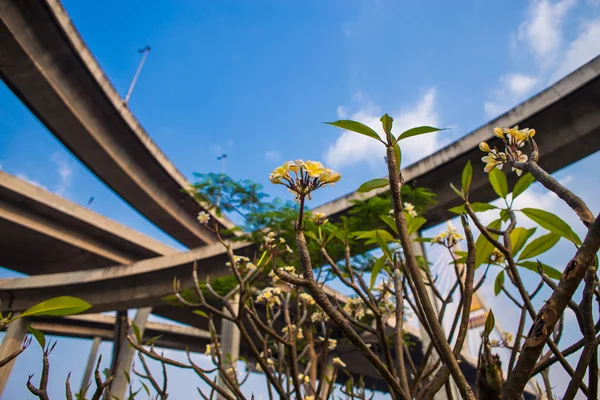 Ring Road  and Bhumibol Bridge on blue sky — Stock Photo, Image