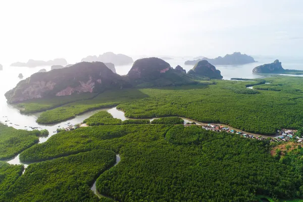 Вид Зверху Повітря Зелений Тропічний Мангровий Ліс Річкою Морської Бухти — стокове фото