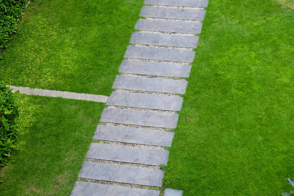 Cement pathway on grenn meadow grass to view copy space home garden