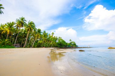 Beyaz kum turkuvaz okyanuslu güzel yaz plajı bulutlu mavi gökyüzüne ve boş palmiye ağacına karşı