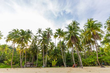 Beyaz kum turkuvaz okyanuslu güzel yaz plajı bulutlu mavi gökyüzüne ve boş palmiye ağacına karşı