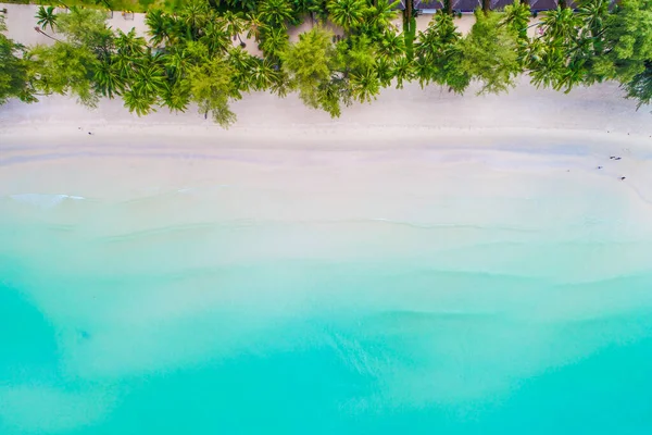 Vista Aerea Spiaggia Sabbia Bianca Acqua Turchese Con Palma Natura — Foto Stock