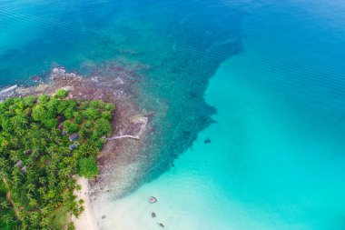 Beyaz kum plajı turkuvaz suyu ve palmiye ağacı doğa manzarası yaz tatili.
