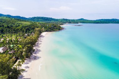 Beyaz kum plajı turkuvaz suyu ve palmiye ağacı doğa manzarası yaz tatili.