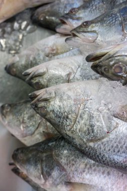 Balık yengeç ve karides pazarında taze deniz ürünleri satılıyor.