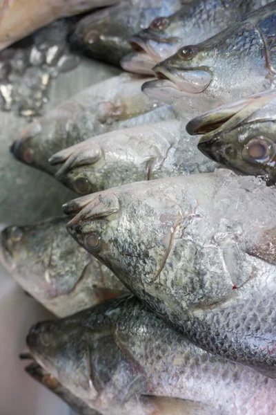 Balık yengeç ve karides pazarında taze deniz ürünleri satılıyor.