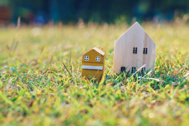 Yeşil çimen varlık iş konsepti üzerine ev ahşabı modeli