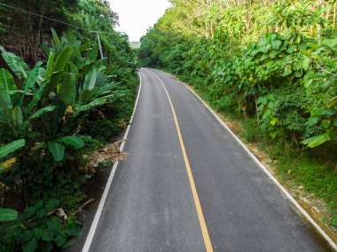 Kırsal asfalt yolu, tropikal yağmur ormanları yeşil ağaç havadan görünüyor.