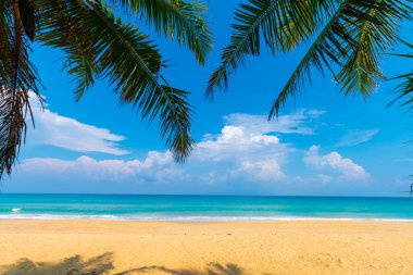 Sakin deniz plajı mavi gökyüzü turkuvaz suyu yeşil hindistan cevizi palmiyesi yaprağı arka planı
