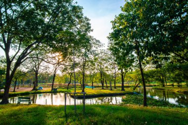 Şehir parkında günbatımı açık yeşil çimenler ve ağaç renkli gökyüzü bulutu Bangkok Tayland