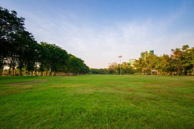 Şehir parkında günbatımı açık yeşil çimenler ve ağaç renkli gökyüzü bulutu Bangkok Tayland
