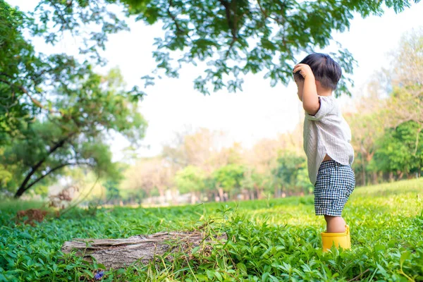 Очаровательный Года Мальчик Играет Зеленой Траве Солнечный День Летом Тропический — стоковое фото