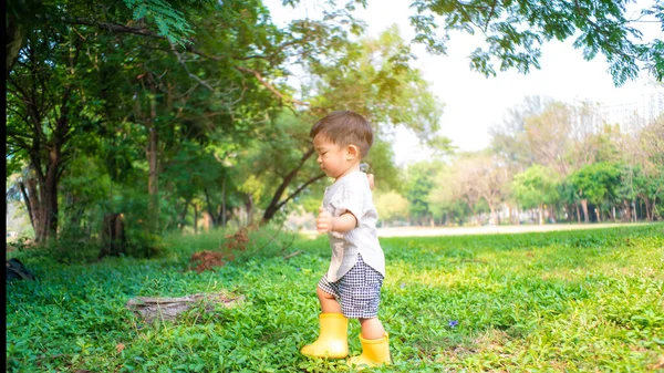 Adorable Year Baby Boy Playing Green Grass Sunny Day Summer — Stock Photo, Image