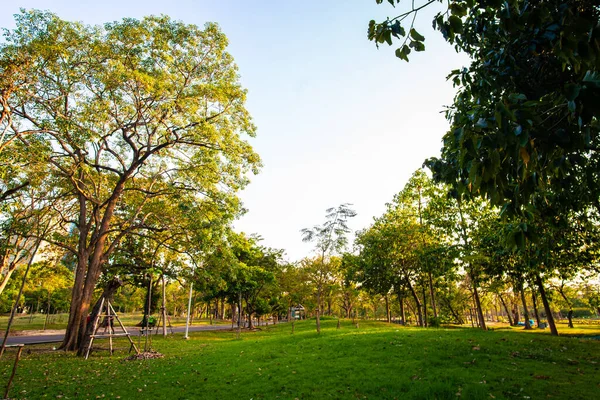 Park Miejski Zachód Słońca Jasny Zielony Trawa Drzewem Kolorowe Niebo — Zdjęcie stockowe