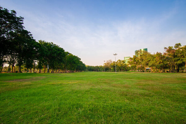 City park sunset light green grass with tree colourful sky cloud Bangkok Thailand