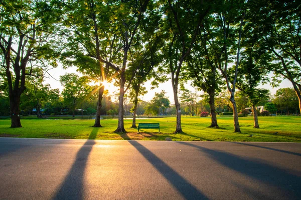 Grönt Träd Stadsparken Med Äng Gräs Sundet Himmel Natur Landskap — Stockfoto