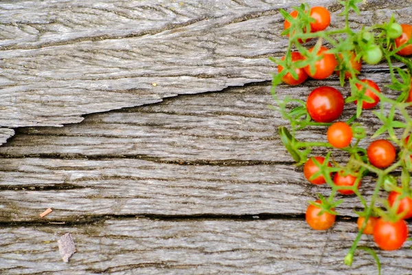 Tradiční Malé Čerstvé Rajčatové Ovoce Dřevě Pozadí Ekologické Potraviny — Stock fotografie