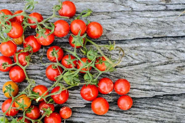 Fresh Tomato Harvest Wood Background Top View — Stock Photo, Image