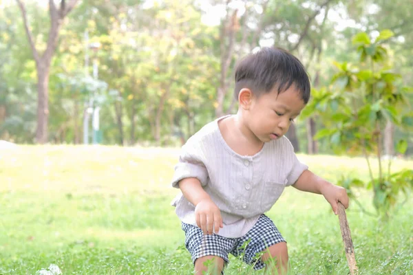 Sevimli 1-2 yaşındaki erkek bebek yeşil çimlerde oynuyor güneşli bir yaz günü tropikal park ormanlarında komik çocuk