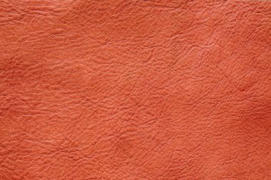 Açık kahverengi, hakiki, tam tahıllı, deri desenli inek arka planı.