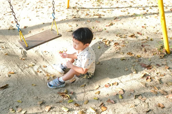 Азійський Хлопчик Грає Дерев Яних Гойдалках Парку Просто Неба — стокове фото