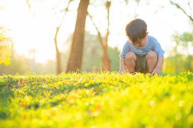 Parkta yeşil çimlerde oynayan sevimli küçük çocuk. Gün batımı doğada hafif çocuk.