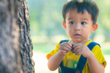 Toddler boy playin in tree green nature park plant learnning outdoor activity