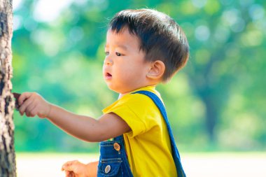 Toddler boy playin in tree green nature park plant learnning outdoor activity