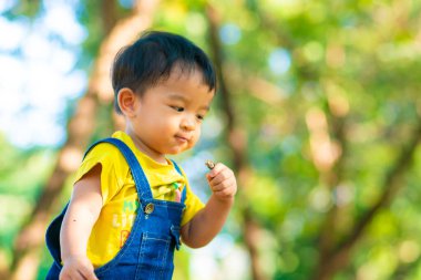 Toddler boy playin in tree green nature park plant learnning outdoor activity