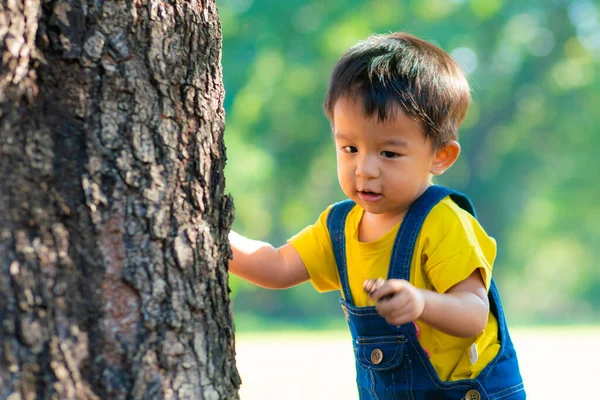 Niño Pequeño Playin Árbol Verde Parque Natural Planta Aprender Actividad — Foto de Stock