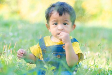 Asyalı çocuk yeşil çimen parkında halk parkında oynuyor.