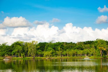 Yeşil ağaçlı çayır havuzu mavi gökyüzüne karşı bulutlu doğa manzarası