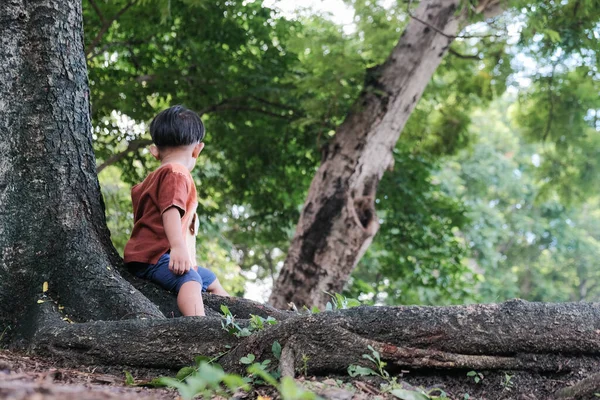 Liten Asiatisk Pojke Sitter Träd Staden Offentliga Pojke Naturen — Stockfoto