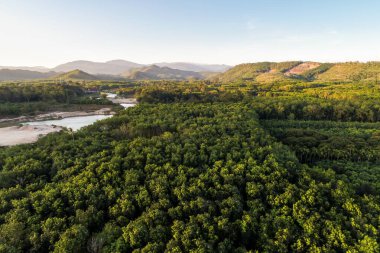 Güneşli bir gün nehri olan hava manzaralı dağ ormanı.