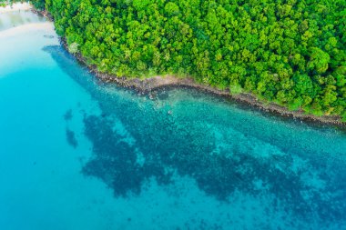 Deniz manzaralı tropikal yeşil ağaç ormanı. Deniz adası turkuaz suyu.