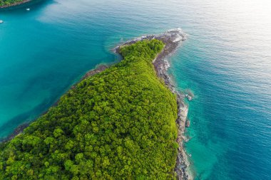 Deniz manzaralı tropikal yeşil ağaç ormanı. Deniz adası turkuaz suyu.