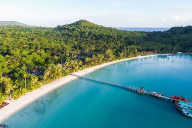 Hindistan cevizi palmiyesi yaz tatili konsepti olan deniz manzaralı beyaz kumsal.