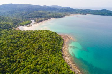 Hindistan cevizi palmiyeli yaz tatili ile hava manzaralı deniz plajı